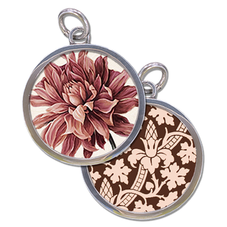 Delicate Dalia